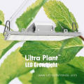 730nm Red Full Spectrum Grow LED for Flowering